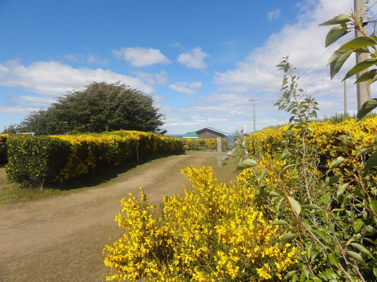 Cabanas Cerro Las Piedras プンタアレナス エクステリア 写真